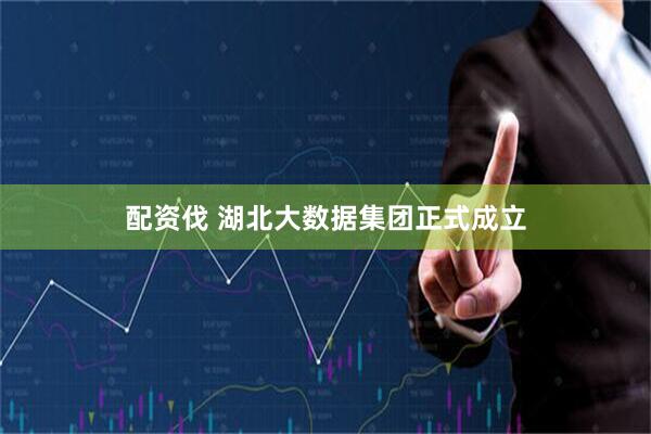 配资伐 湖北大数据集团正式成立