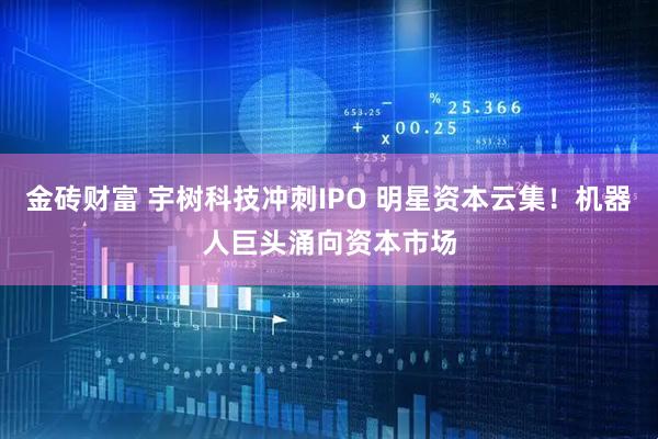 金砖财富 宇树科技冲刺IPO 明星资本云集！机器人巨头涌向资本市场