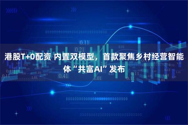 港股T+0配资 内置双模型，首款聚焦乡村经营智能体“共富AI”发布